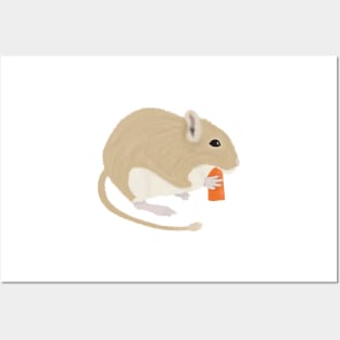 Cute golden gerbil eating carrot Posters and Art